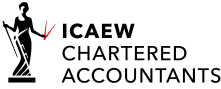 Chartered accountant logo